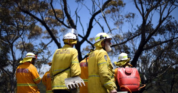 Australian police arrest firefighter to start bushbrande
