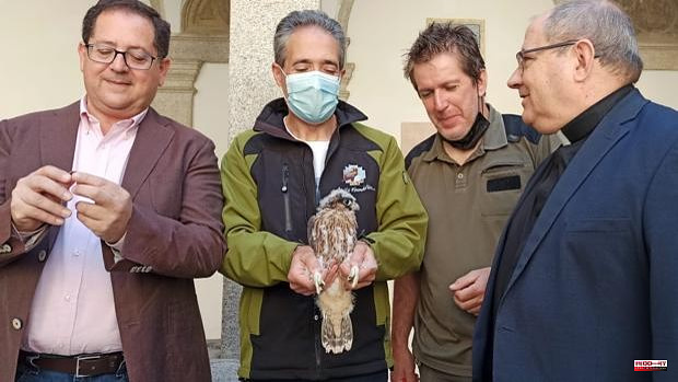 They reintroduce three falcon chicks in the cathedral of Toledo