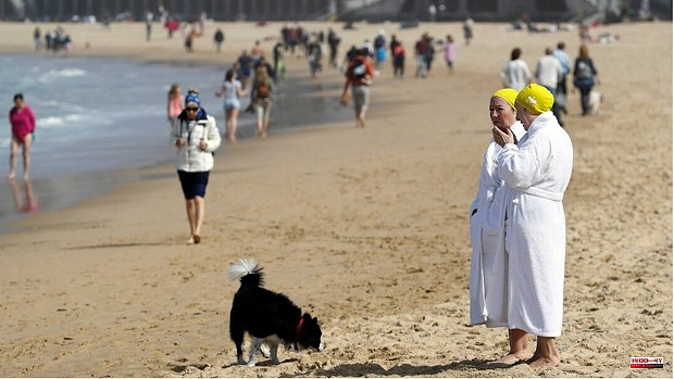 No beaches suitable for pets in the Basque Country