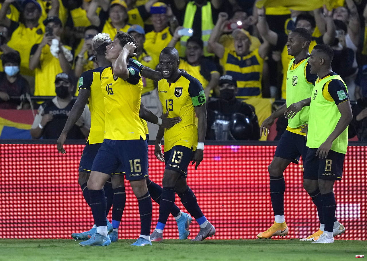 World Cup 2022: Ecuador disqualified and Colombia future opponent of the Blues?