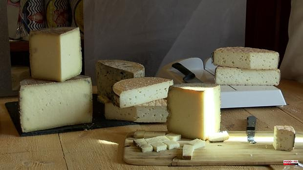 'Caminos del Queso', a journey through the province of Valladolid through the artisan and innovative flavor