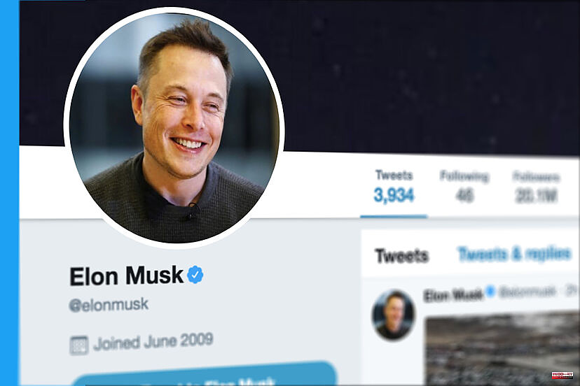 Elon Musk paralyzes the purchase of Twitter and the shares plummet