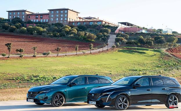 Peugeot bets on selling only electric cars in 2030