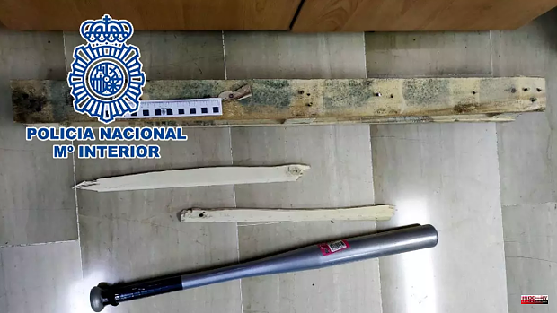 Four arrested for attacking each other with sticks and a baseball bat for insulting a pet in Alicante