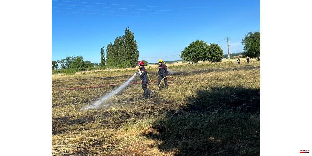 Saint-Rambert-d'Albon. Drome: More than 1,000 m2 of crops go into smoke
