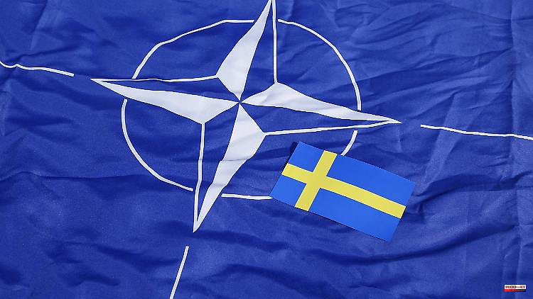Project is progressing: Sweden's ruling party votes for NATO membership application