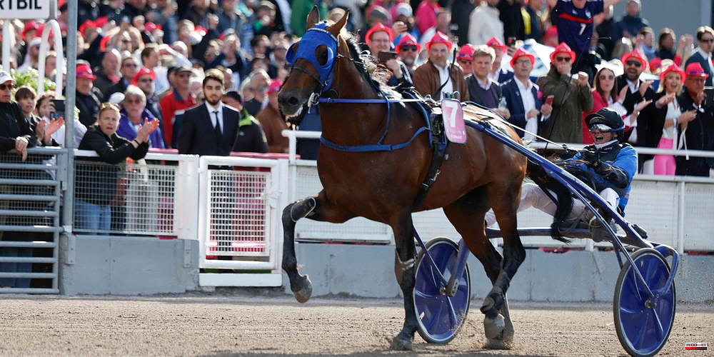 Landes: Astonishing! The son of Timoko wins the prestigious Swedish race, the Elitloppet
