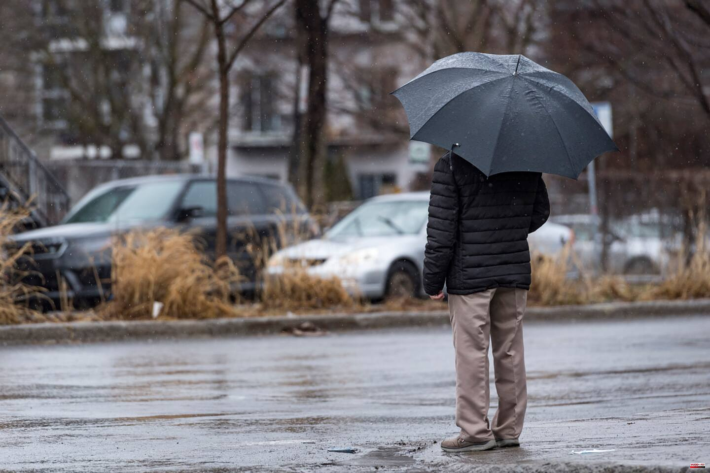 Weather in Quebec: drop in mercury and return of rain at the start of the week