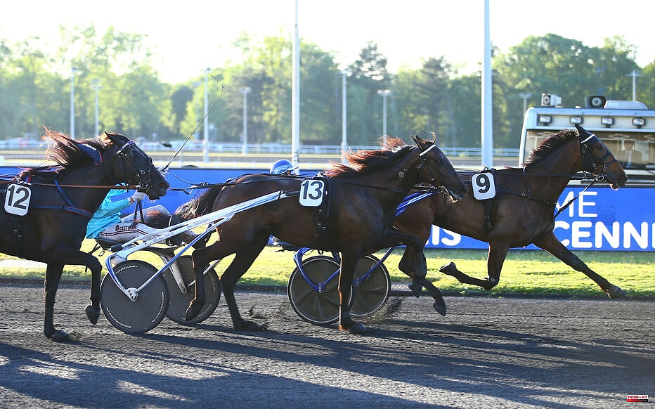 PMU - Arrival of the quinté of Friday May 20 at Vincennes: Icon Madrik rewarded