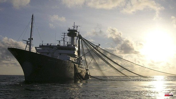 Four Basque tuna vessels denounce that they are trapped in Senegal