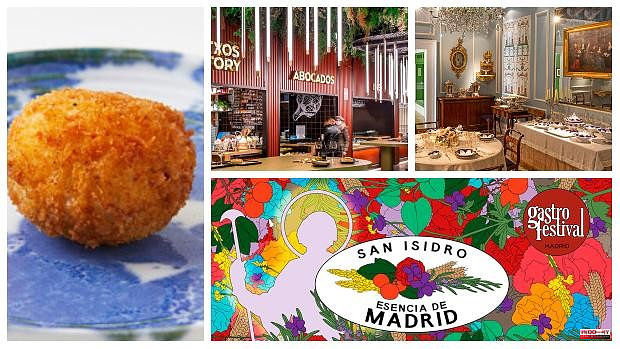 Gastrofestival 2022: from eating at the Palacio de Liria to trying the best croquette in the world