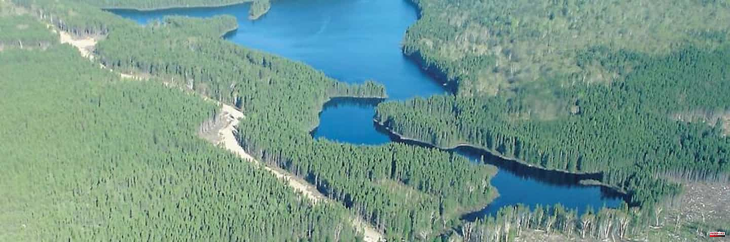 Logging: a scandalous report according to the Atikamekw