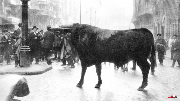 The bull and the bullfighter who turned the Gran Vía into a branch of Las Ventas