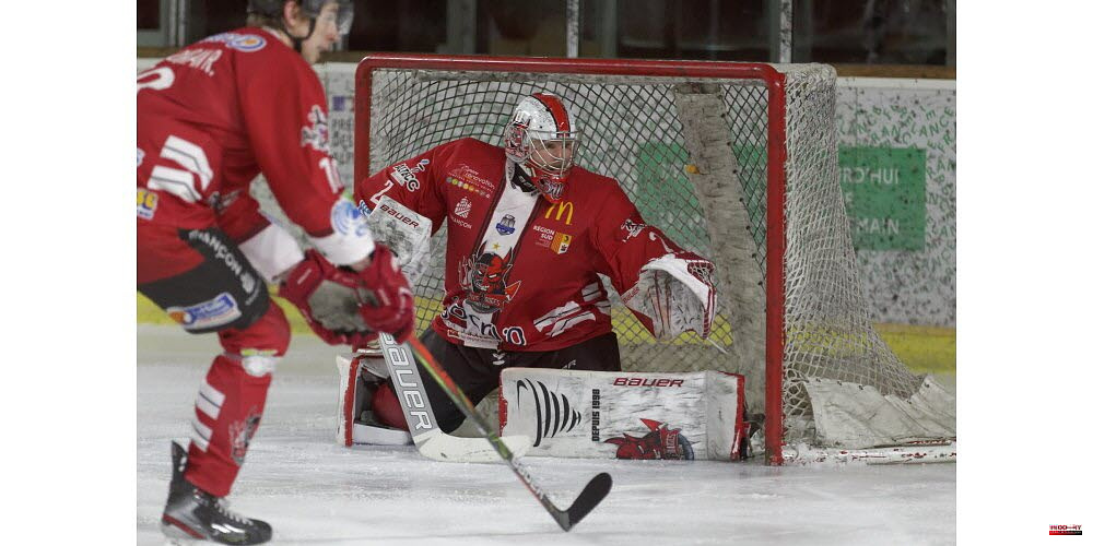 Ice hockey Magnus League: Jan Broz retained by Briancon
