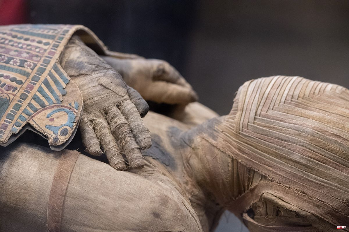 Why did people start eating Egyptian Mummies? The Weird and Wild Ways Mummy Fever Spread Through Europe

