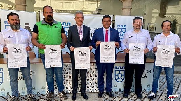 Ornitocyl returns to Ávila from June 17 to 19