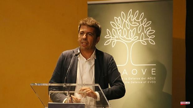 Mazón: «Our challenge is to position Alicante extra virgin olive oil as an international reference»
