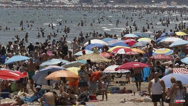 The weather and the heat wave in Valencia: temperature forecast for the whole week and where it will be hotter
