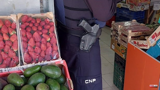 They arrest 32 people and investigate another 49 for stealing 518 tons of fruit and vegetables in Valencian fields