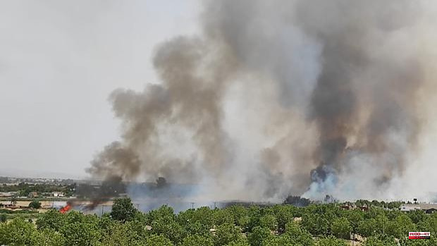 The Palomarejos commercial park in Talavera was evicted due to a stubble fire in its surroundings