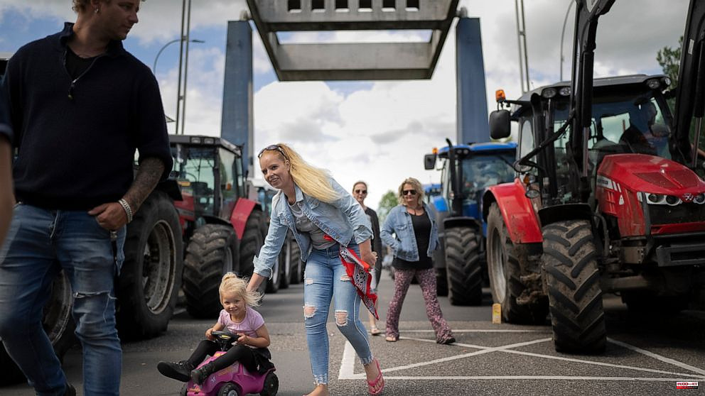 Dutch farmers opposed to pollution cuts feel anger