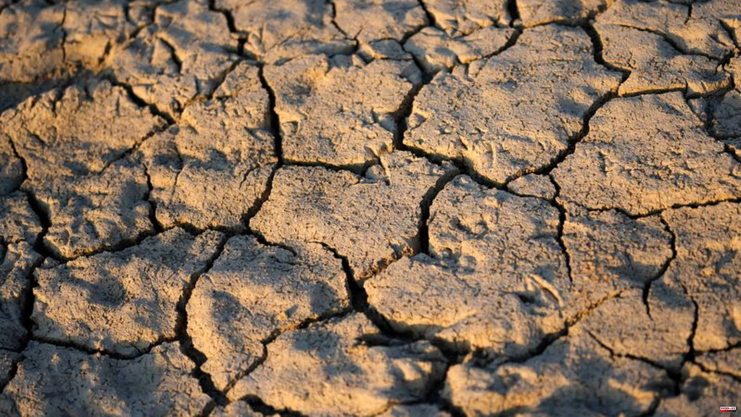 Fact check: Climate change: Why historic droughts aren't evidence to the contrary