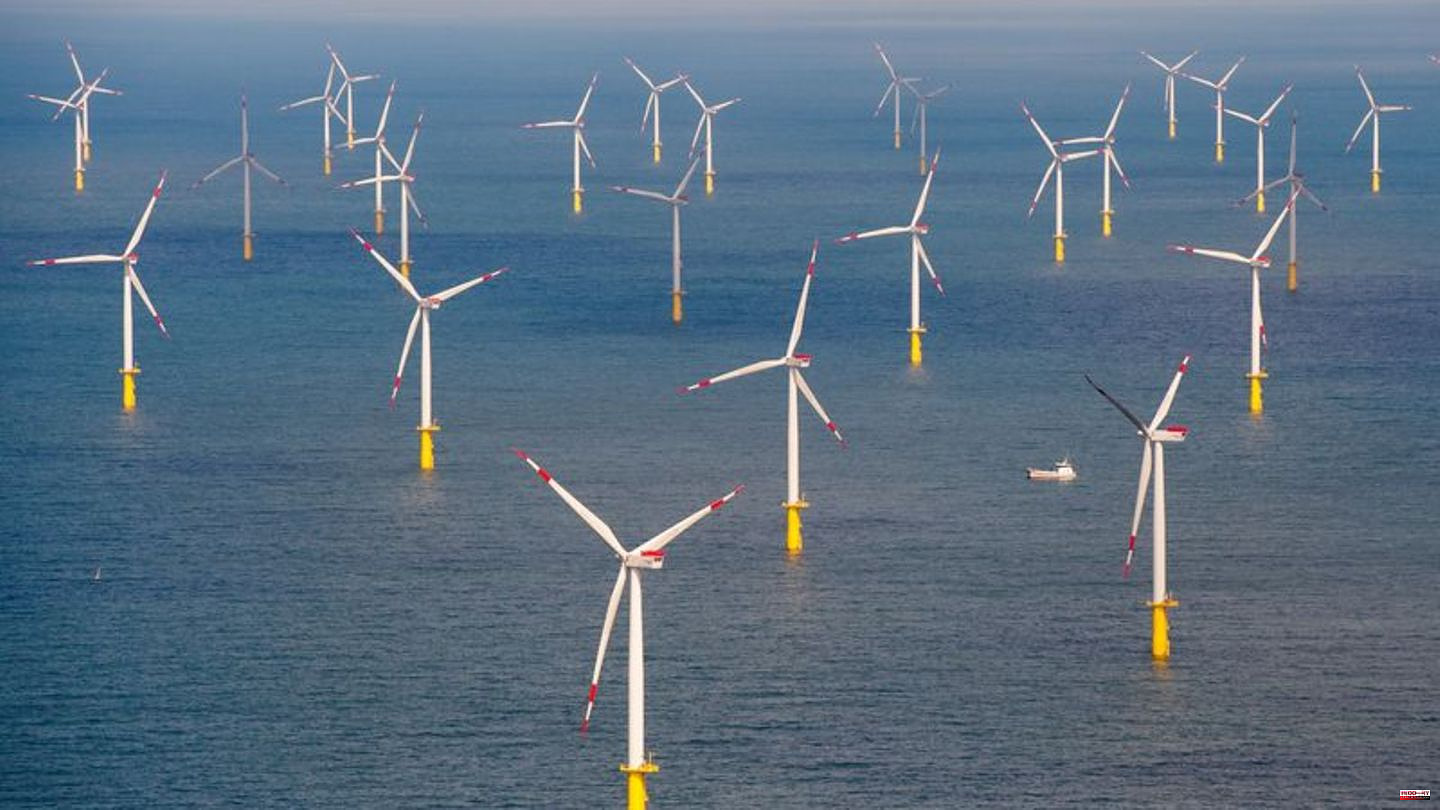 Energy supply: Baltic Sea countries want to massively expand offshore wind energy