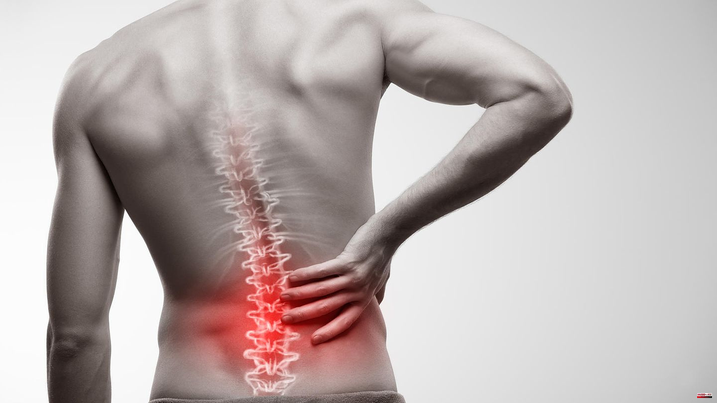 Chronic back pain: How a back support belt is designed to relieve lumbar pain