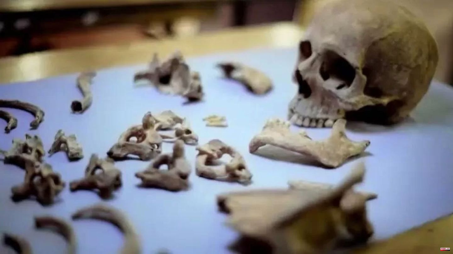 England: DNA test reveals dark secret of human bones from Norwich well