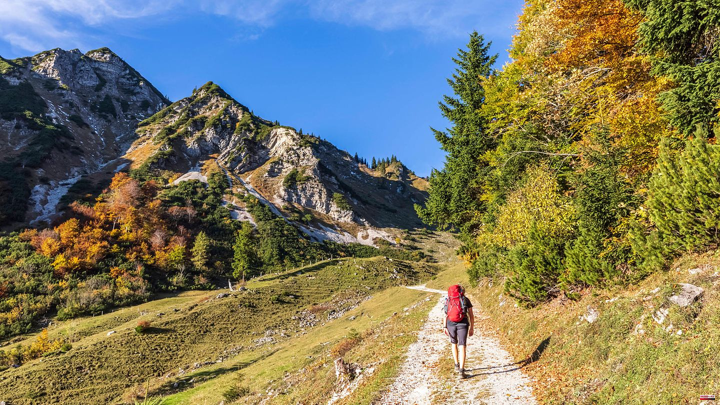 Between the Alps and the sea: experience nature: These are the most beautiful hikes in autumn