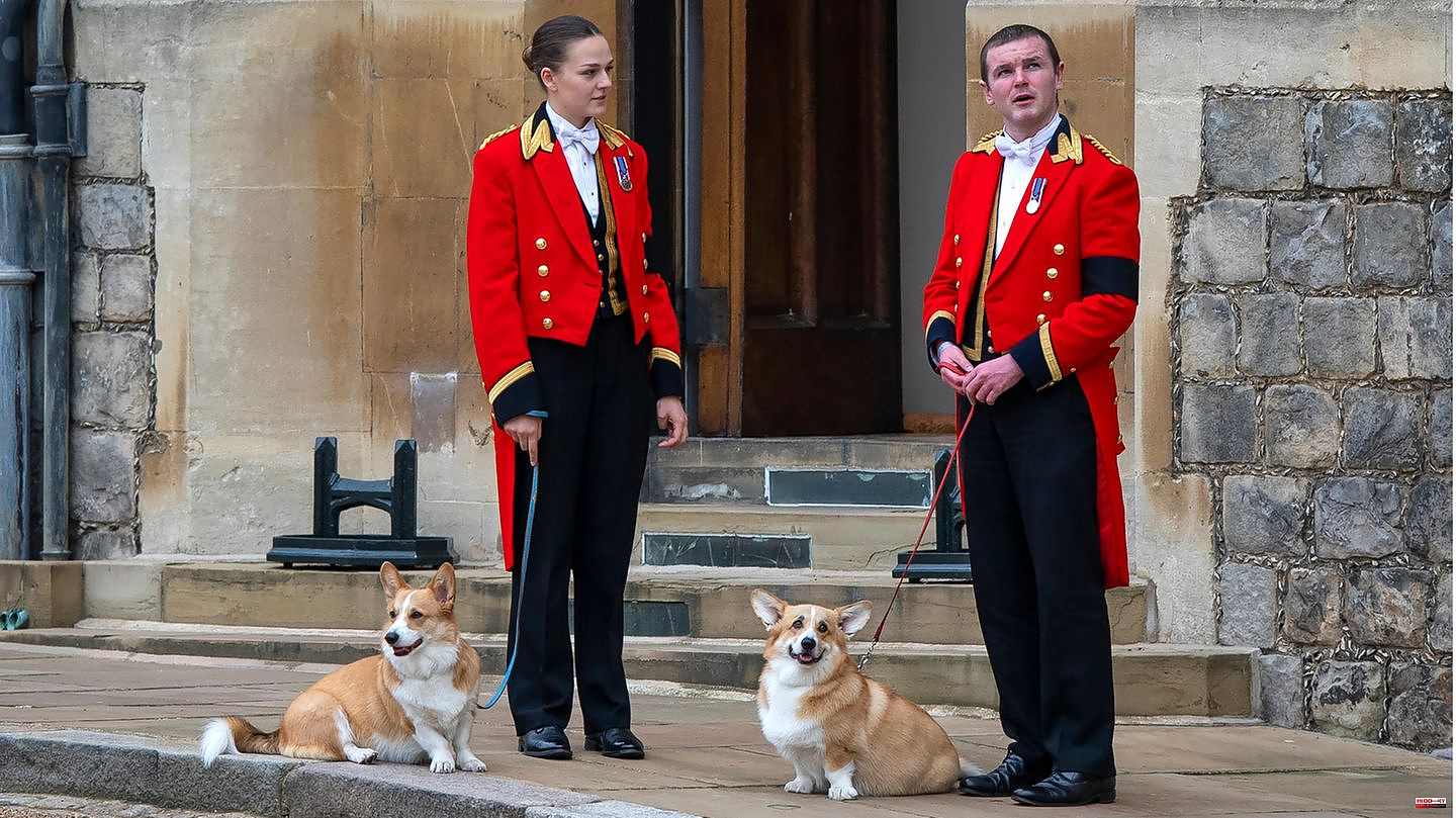 Queen Elizabeth II: Corgis Muick and Sandy: Their animals were in the room when the Queen died