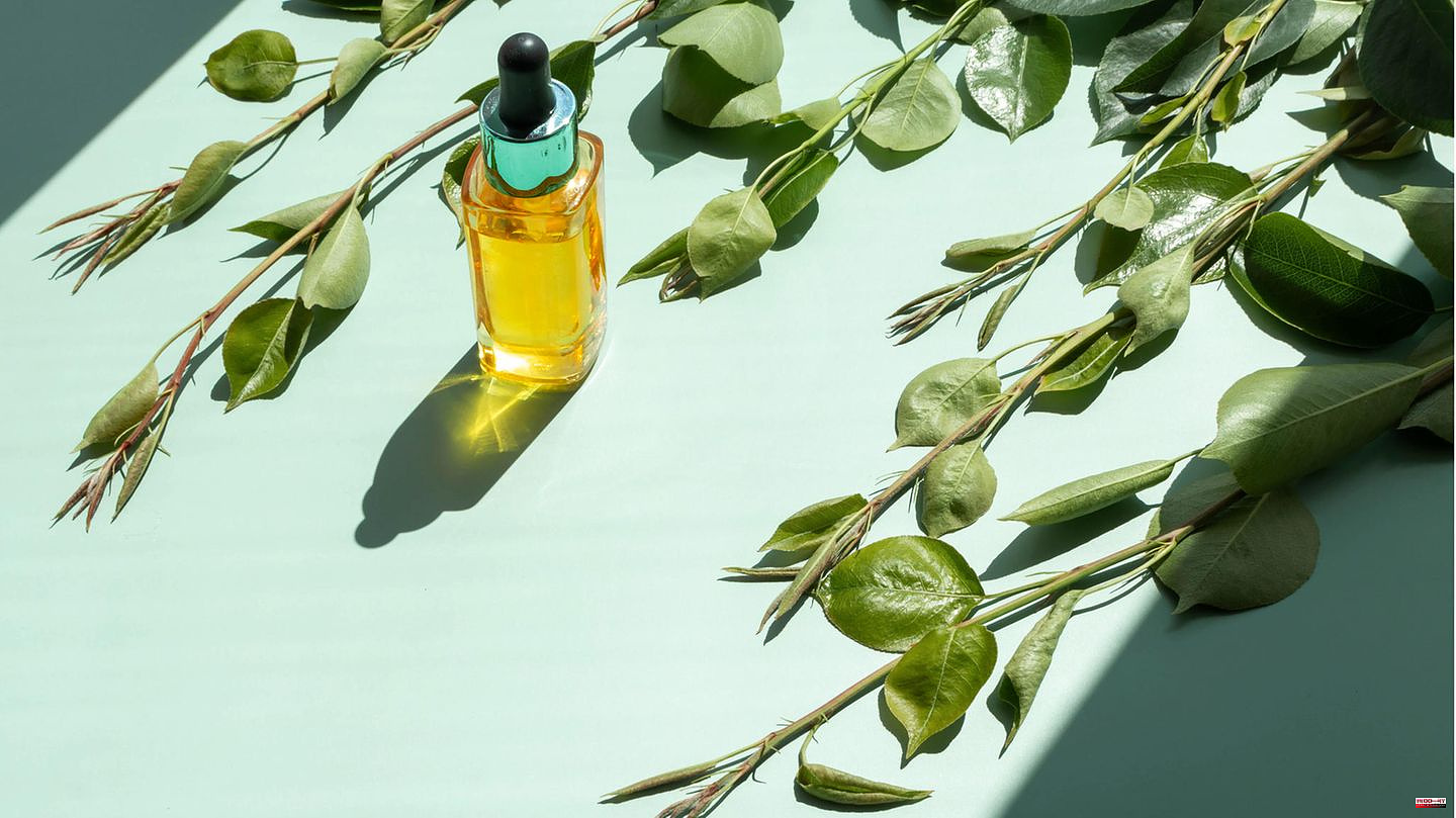 Helpful home remedies: What you can use tea tree oil for - and when you should be careful