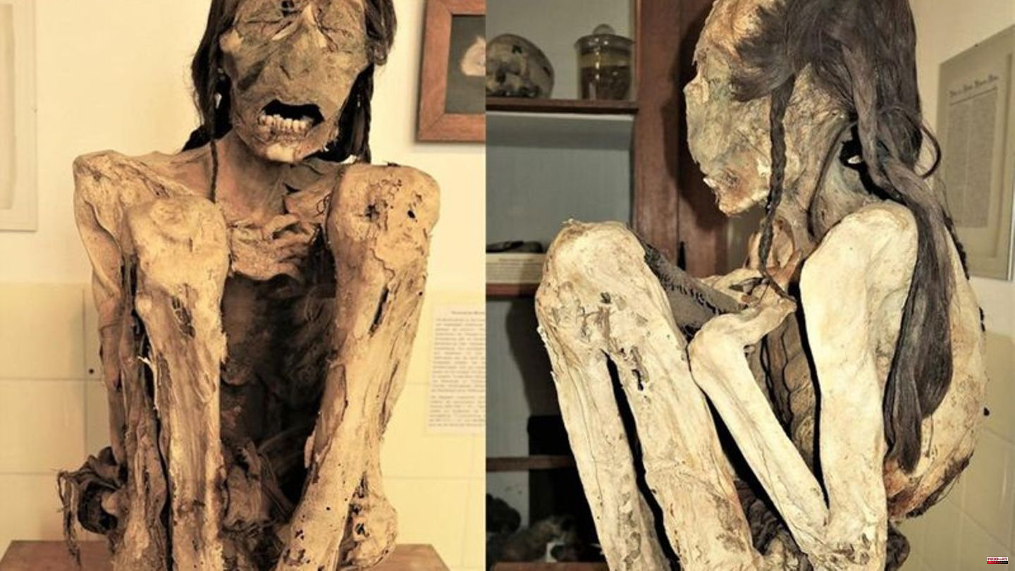 Science: Mummies on CT: Researchers reconstruct centuries-old murders