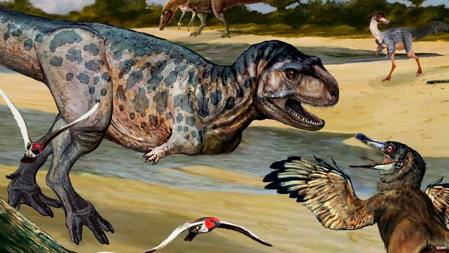Paleontology: Bones of new dinosaur species discovered in Argentina