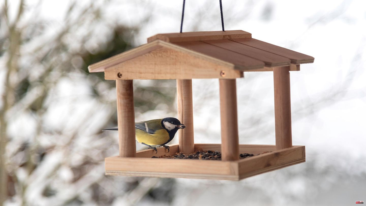 Feeding station: A bird house to hang up: You should know that in advance