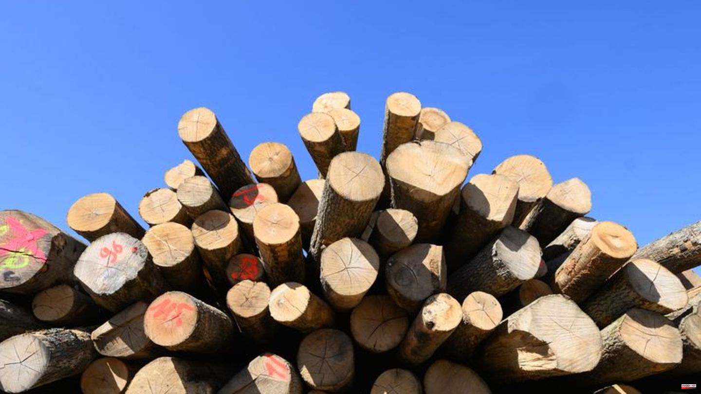 Climate: More wood is burned: This damages health and the environment
