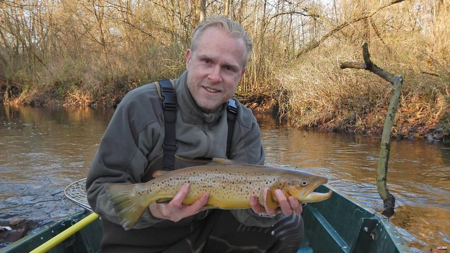 Nature conservation: Rare and demanding fish are swimming in the Alster again – thanks to angler Frank Schlichting