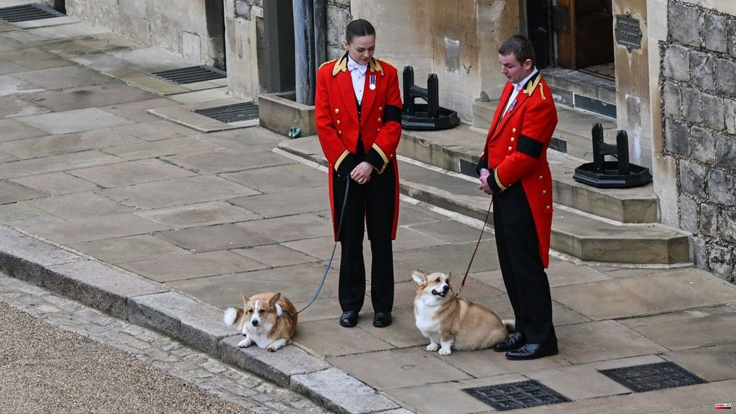 Queen Elizabeth II: Corgis awaited her at Windsor Castle