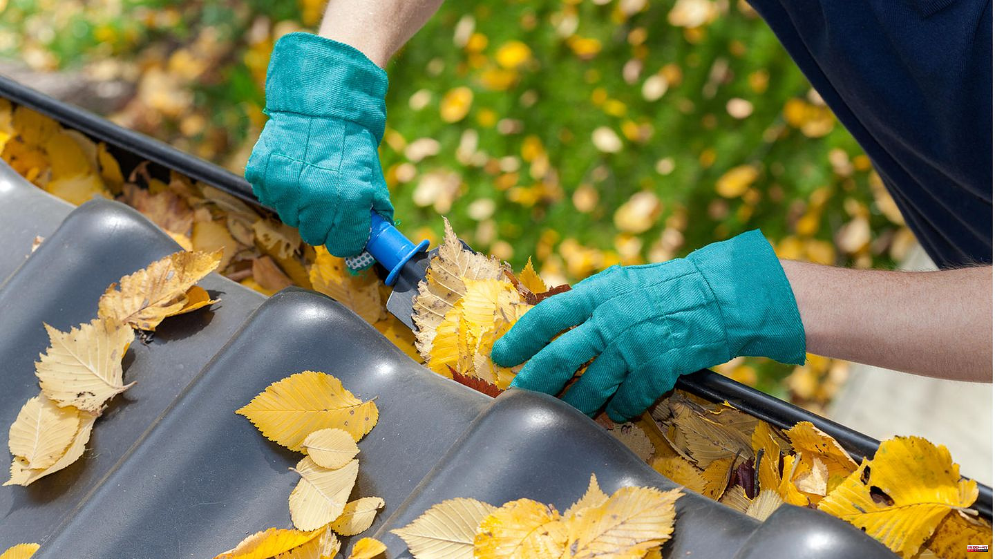 Annoying leaves: If the downpipe is clogged: How to clean a gutter