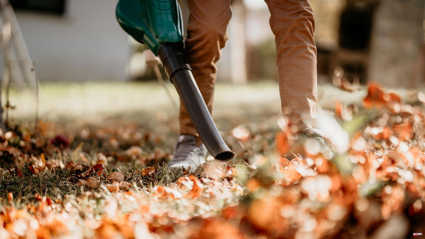 Life Cycle Assessment: Which helps better against Bätterberge - leaf blowers or rakes?