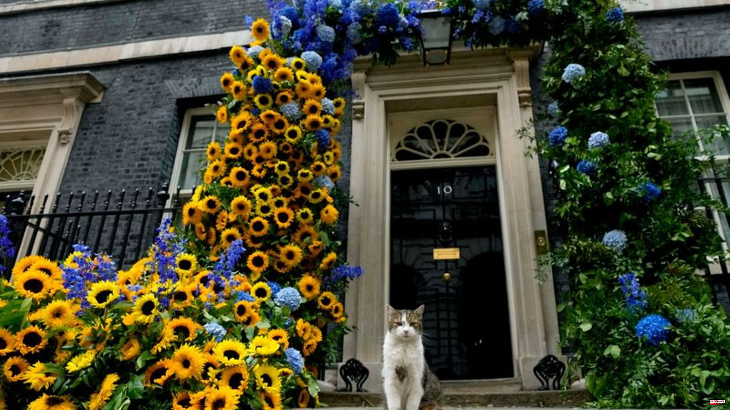 Host: Larry the Cat: The cat that the British trust