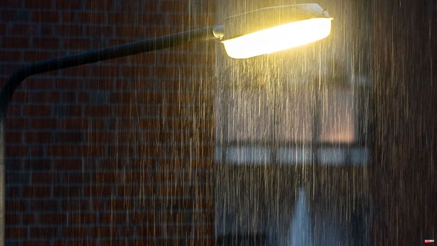 Environment: Researchers see possible risks from street lamp LEDs