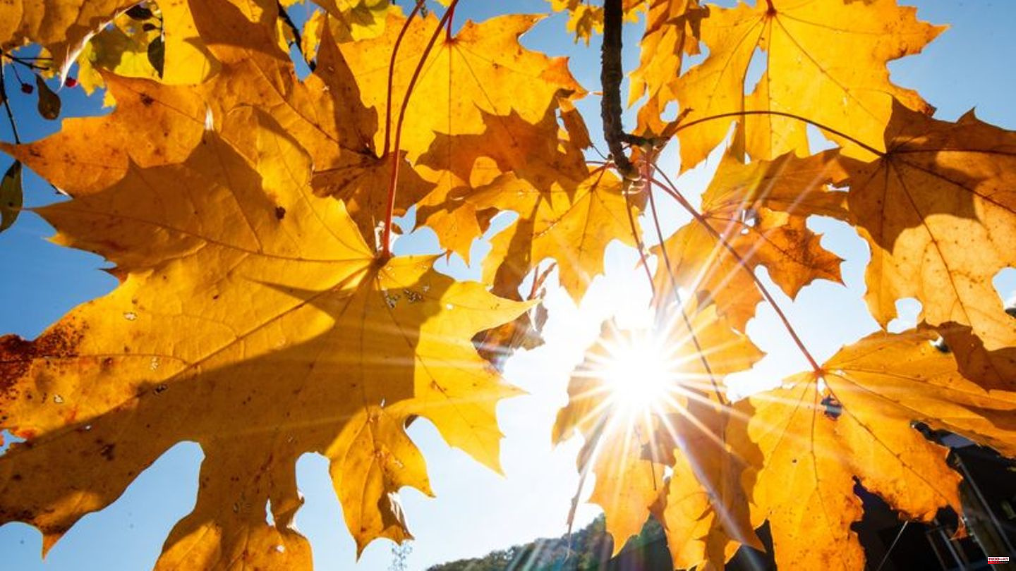 Prospects: Summer weather in October - weekend brings up to 27 degrees