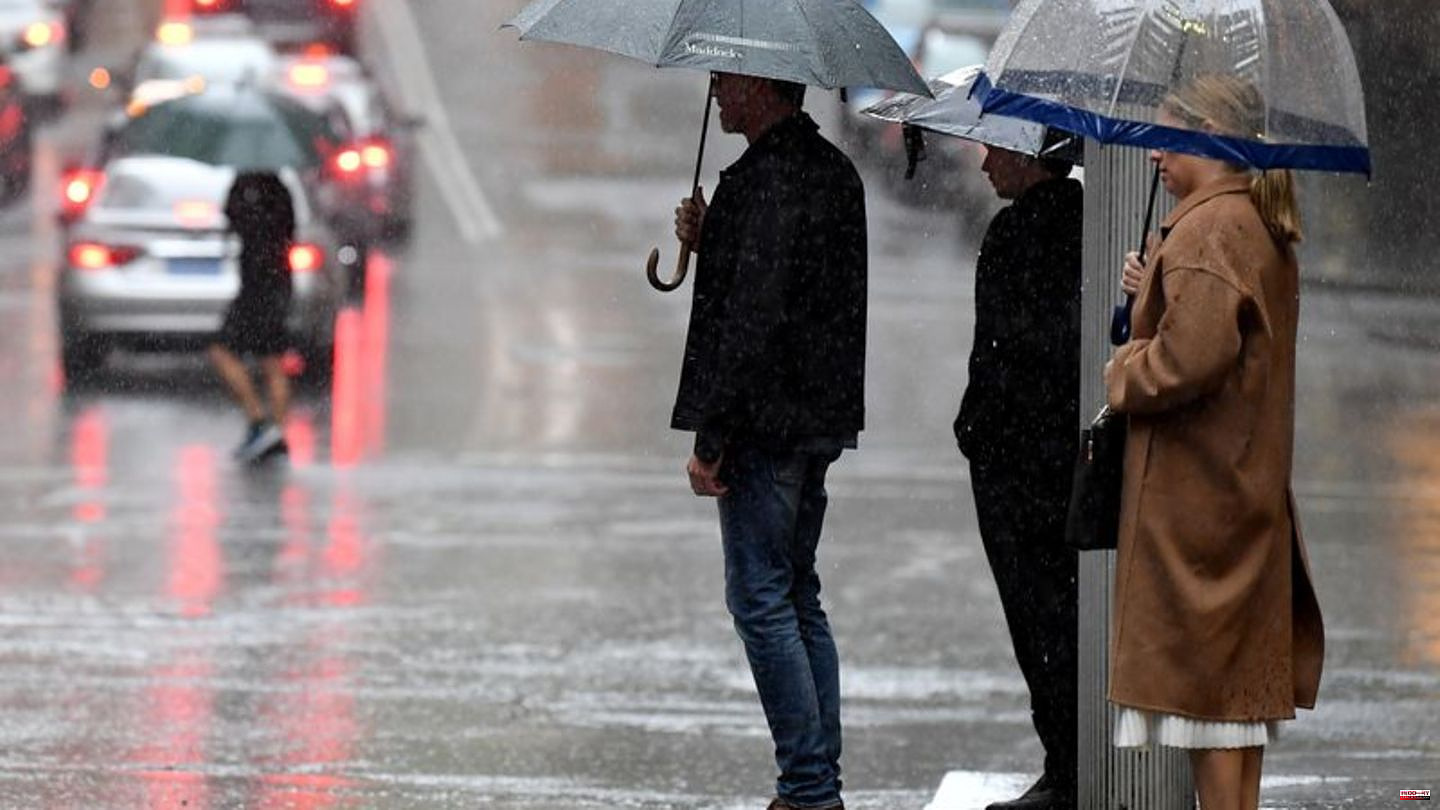 Weather: Rain record in Sydney: Wettest year in history