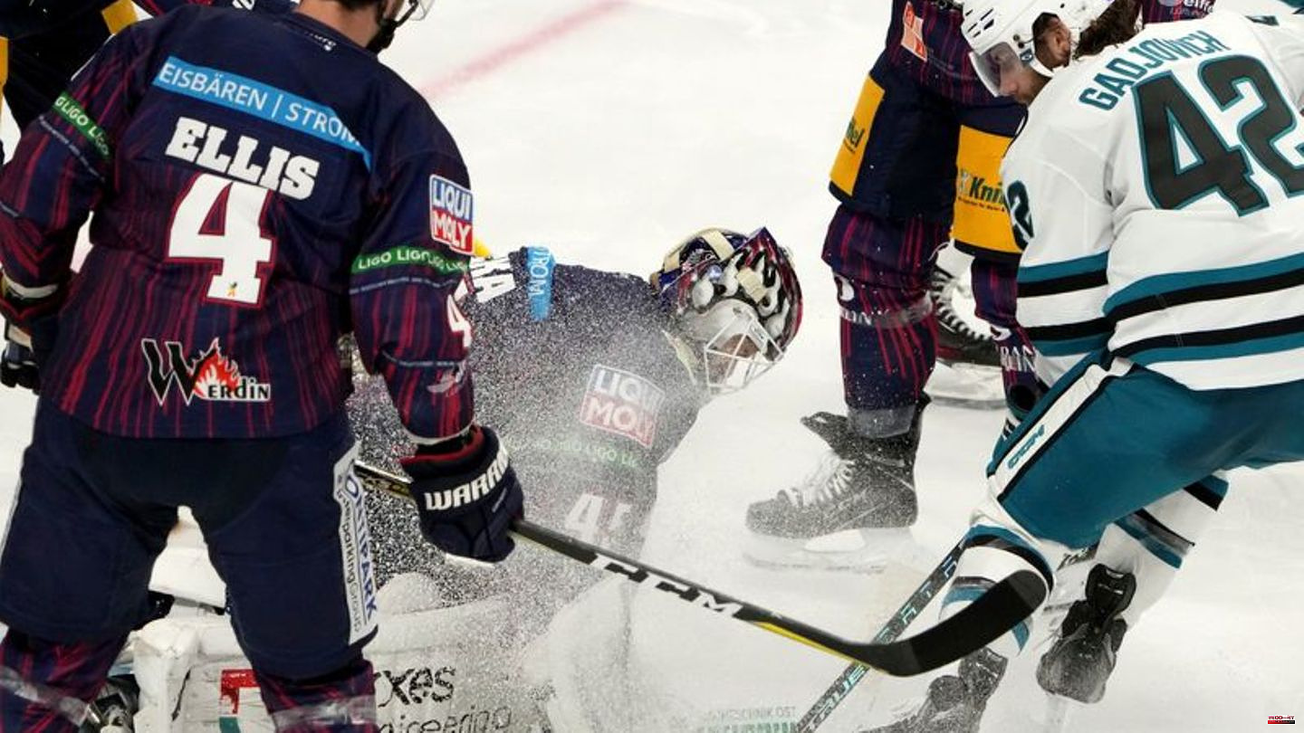 Hockey: Polar Bears lose Test to NHL team San Jose Sharks