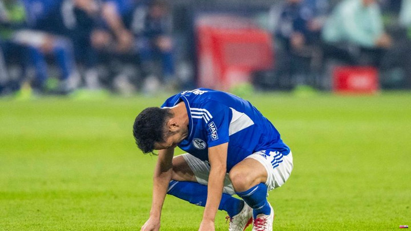 Bundesliga: beer mugs and toxic words: heated aftermath at Schalke