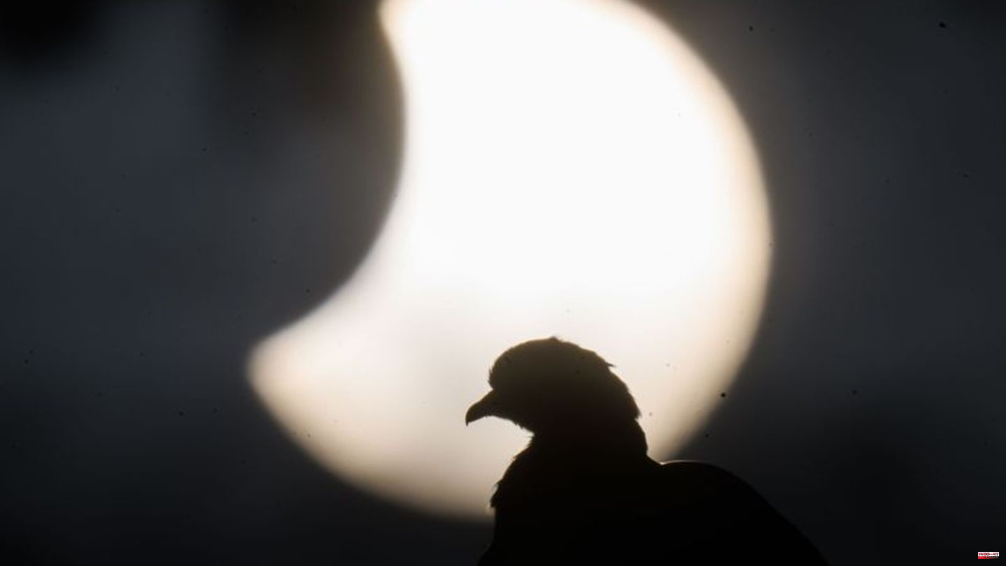 Astronomy: Partial solar eclipse clearly visible, especially in the south