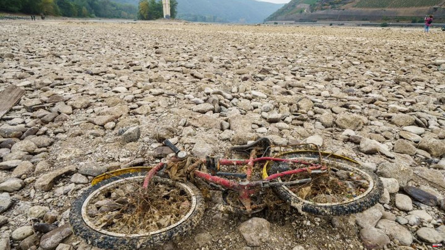 Climate change: Study: Extreme drought expected in Europe every 20 years