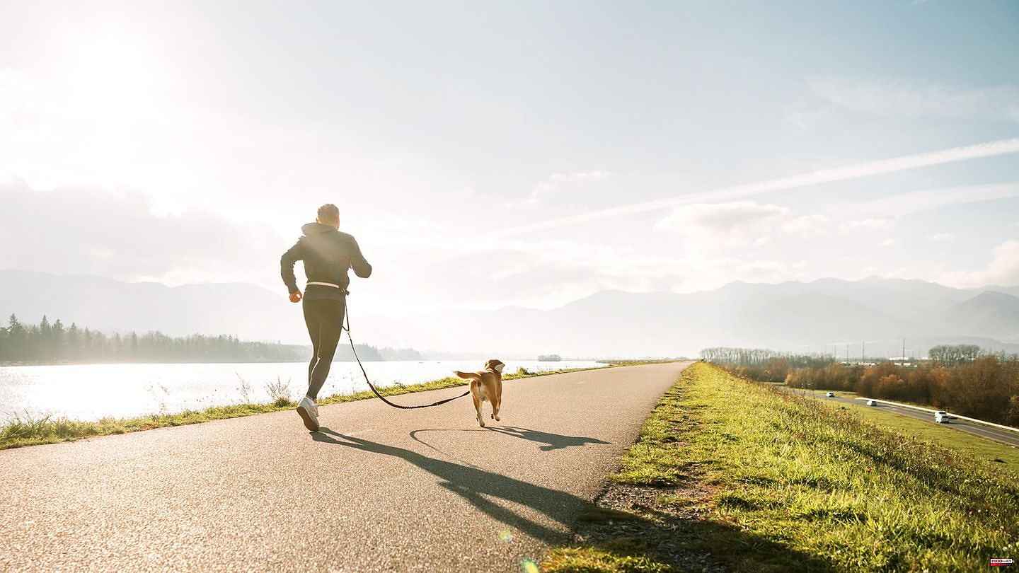 The perfect combination?: Jogging with a dog: What is important and what you should definitely avoid