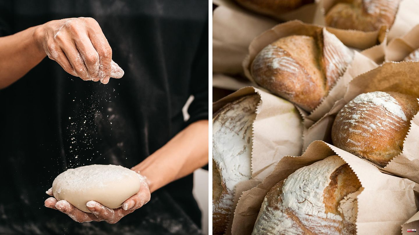 Life Cycle Assessment – ​​The Sustainability Column: Factory Bread or Hand-Baked: Which is More Sustainable?